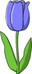 チューリップのイラスト11