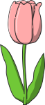 チューリップのイラスト9