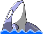 シャチのイラスト10
