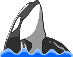 シャチのイラスト5