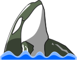 シャチのイラスト6