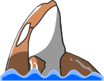 シャチのイラスト7