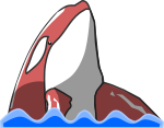 シャチのイラスト8