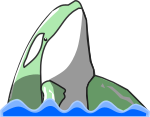 シャチのイラスト9