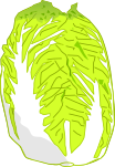 白菜のイラスト1