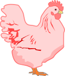 鶏のイラスト7