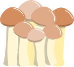 しめじのイラスト1