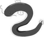 ウナギのイラスト5