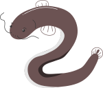 ウナギのイラスト6
