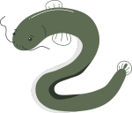 ウナギのイラスト7