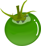 プチトマトのイラスト3